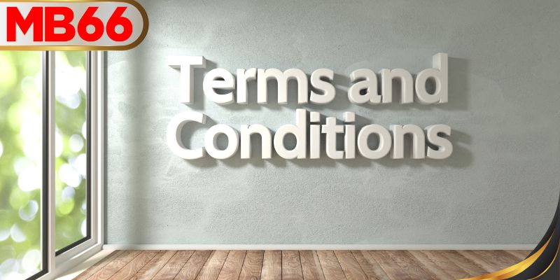 ใบอนุญาตการดำเนินงาน MB66 – ตั๋วทองแห่งความน่าเชื่อถือ