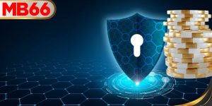 นโยบายความเป็นส่วนตัว MB66