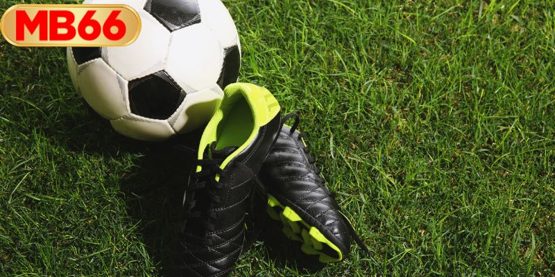 สนามกีฬาสุดอลังการพร้อมสำหรับฟุตบอลโลก 2026